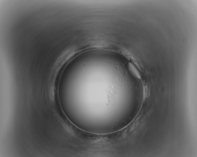 X0000111670243200907241218