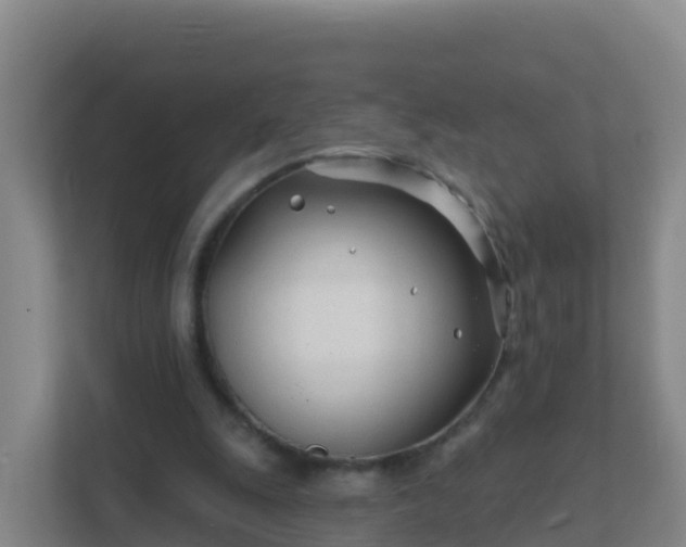 X0000111670247200907241218