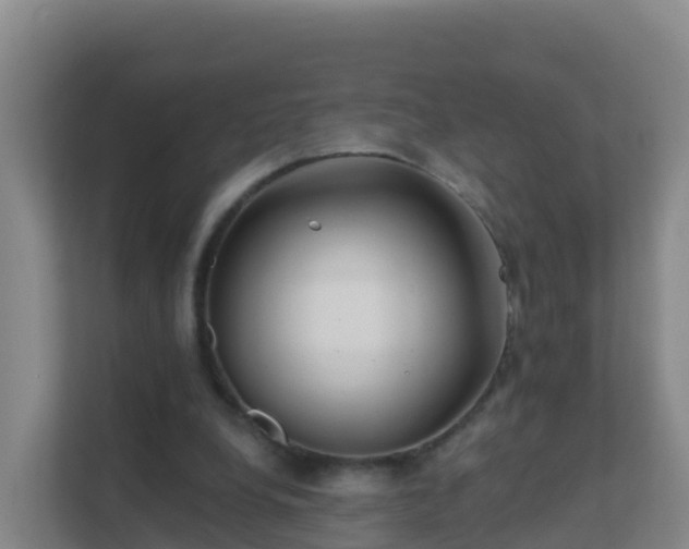 X0000111670248200907241218