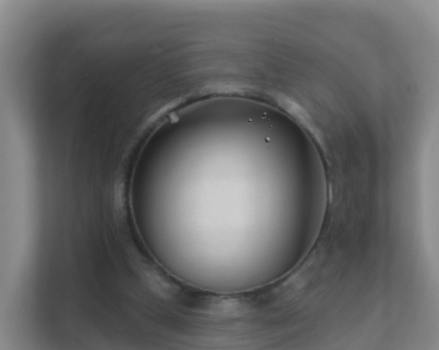 X0000111670249200907241218