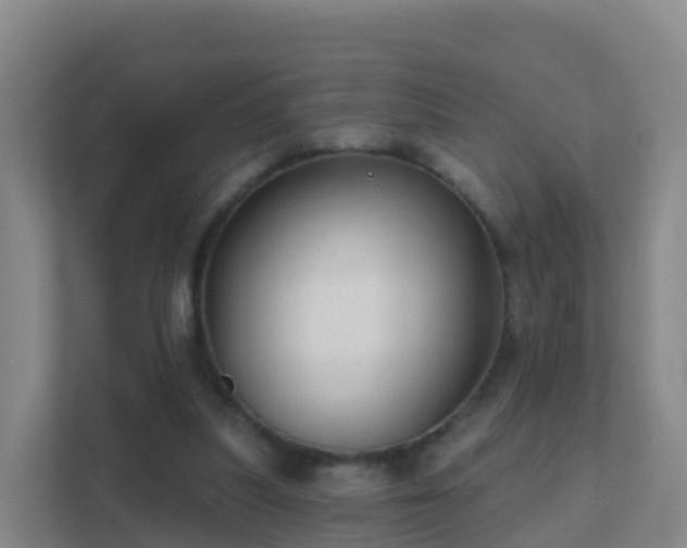 X0000111670251200907241218