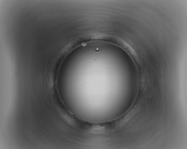 X0000111670257200907241218