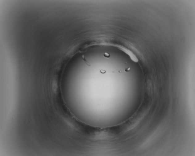 X0000111670259200907241218