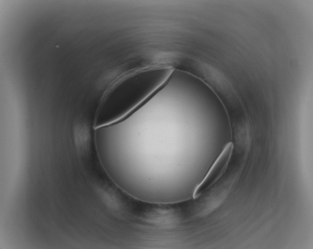 X0000111670260200907241218