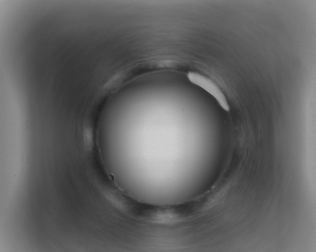 X0000111670262200907241218