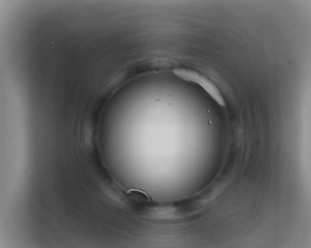 X0000111670266200907241218