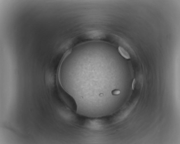 X0000111670268200907241218