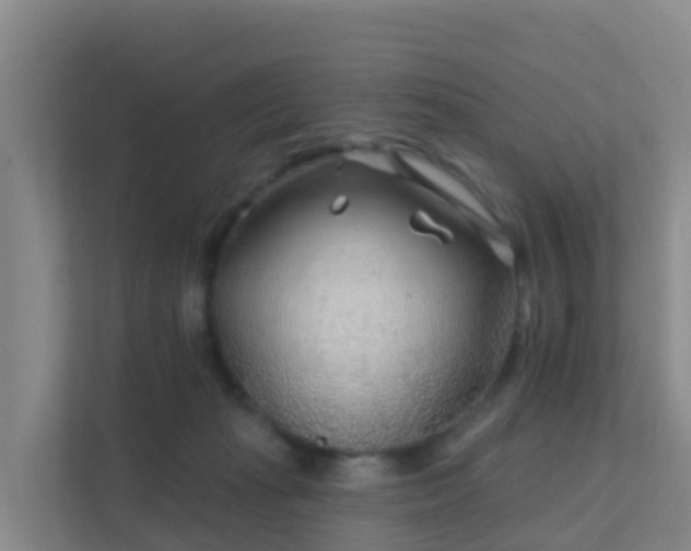 X0000111670269200907241218