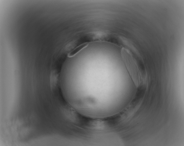 X0000111670276200907241218