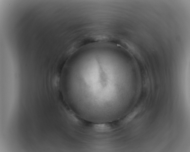 X0000111670281200907241218