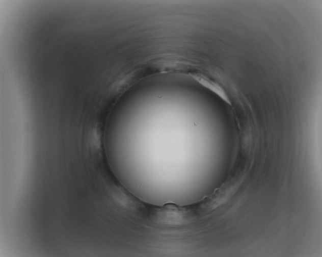 X0000111670282200907241218