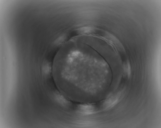 X0000111670284200907241218