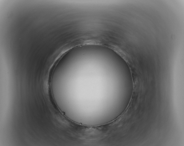 X0000111670290200907241218