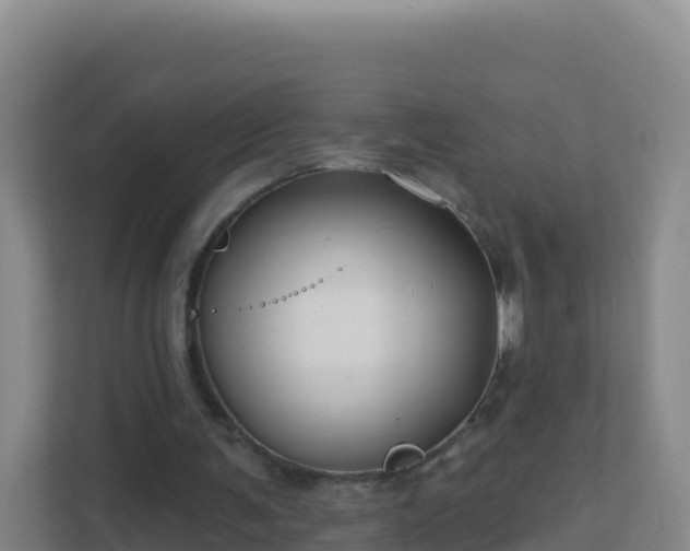 X0000111670291200907241218