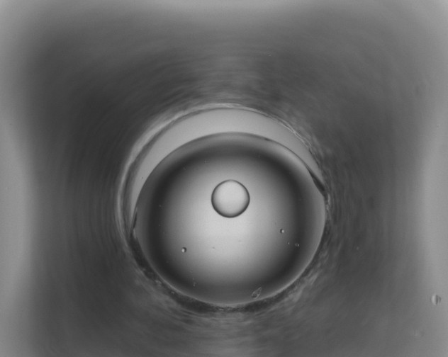 X0000111670292200907241218