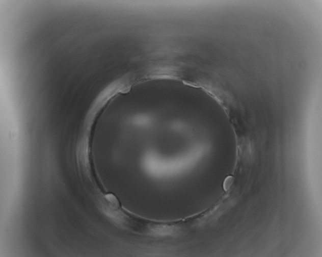 X0000111670293200907241218