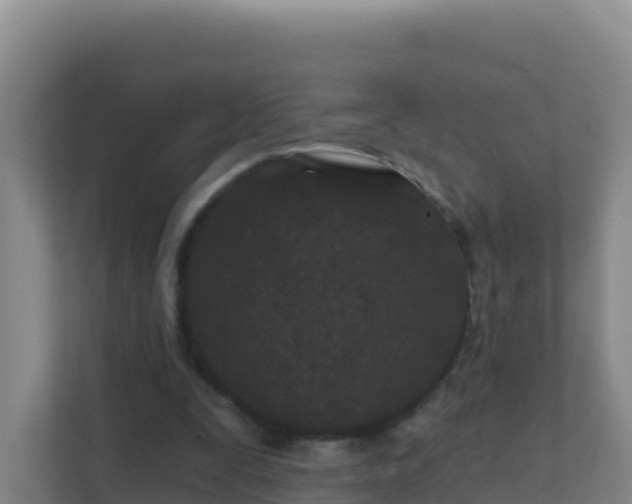 X0000111670295200907241218