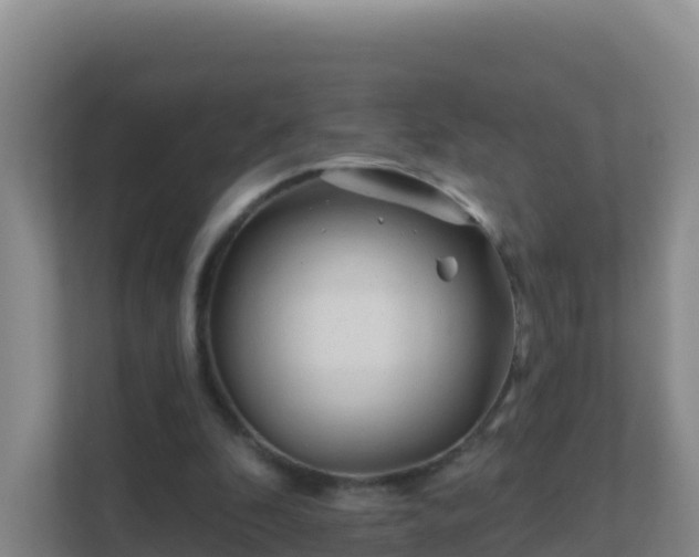 X0000111670296200907241218