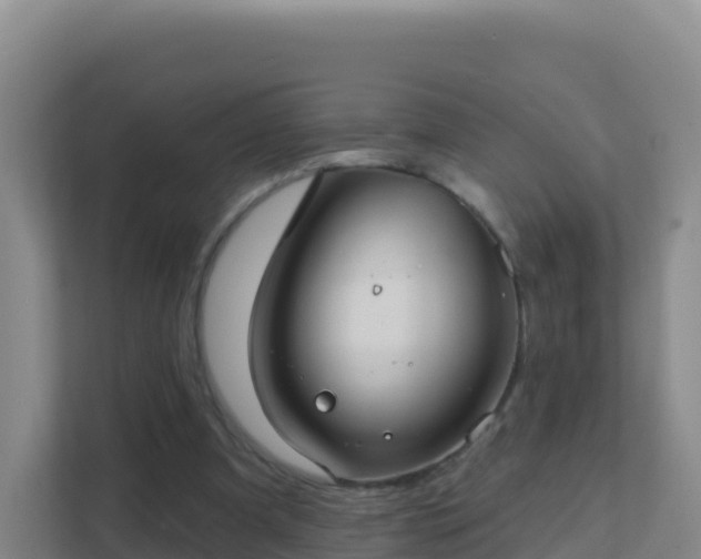 X0000111670297200907241218