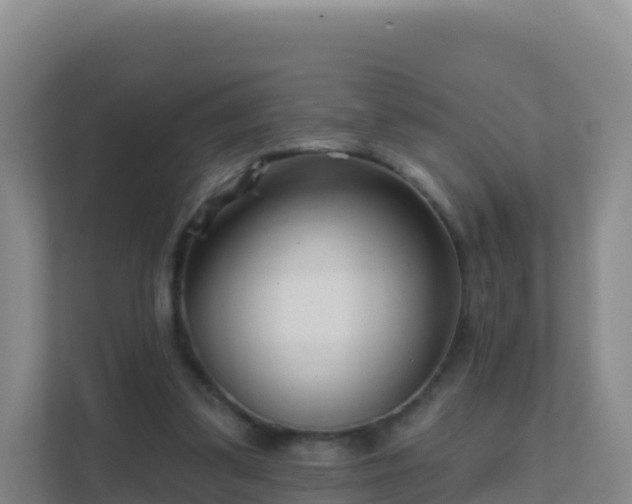 X0000111670299200907241218