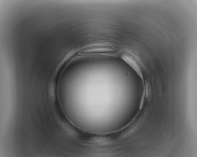 X0000111670300200907241218