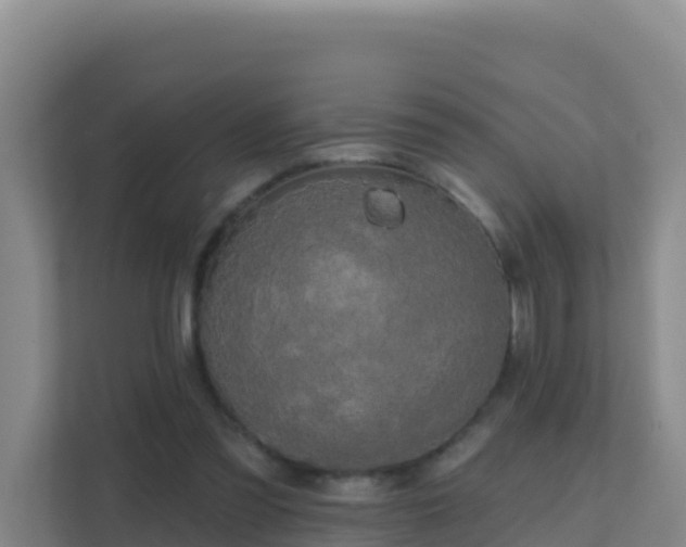 X0000111670301200907241217