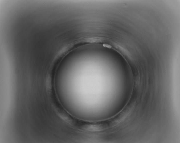 X0000111670303200907241217