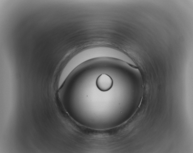 X0000111670304200907241217