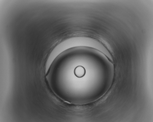 X0000111670305200907241217