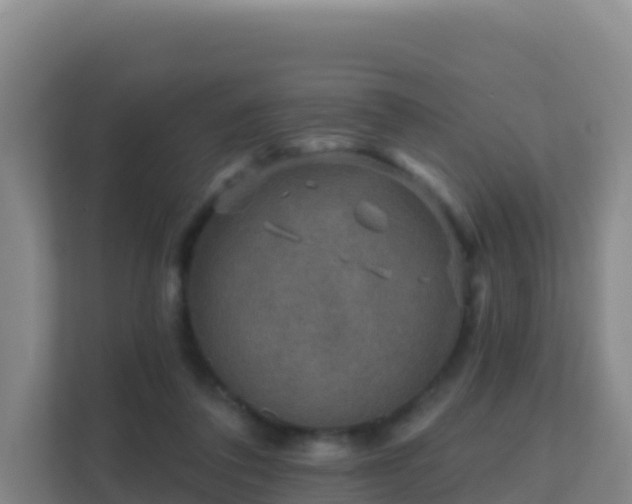 X0000111670308200907241217