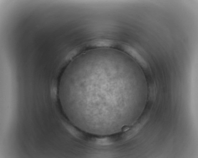 X0000111670309200907241217