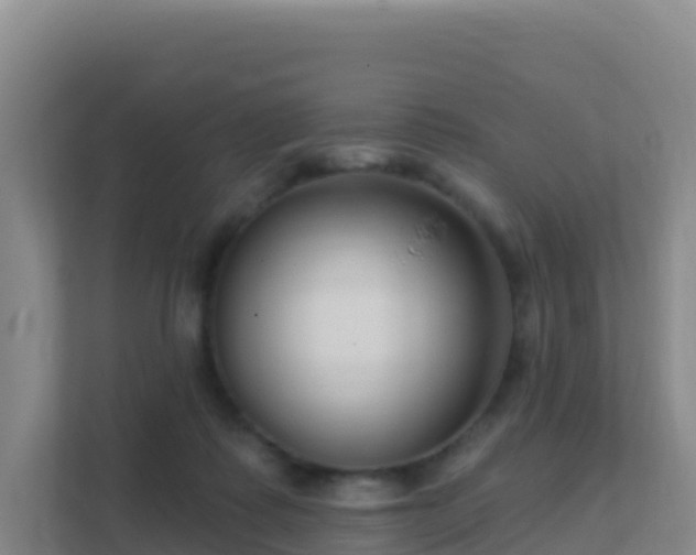 X0000111670315200907241217