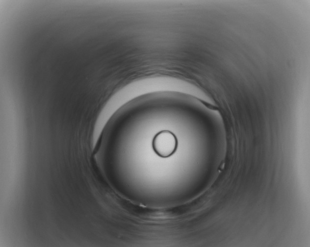 X0000111670316200907241217