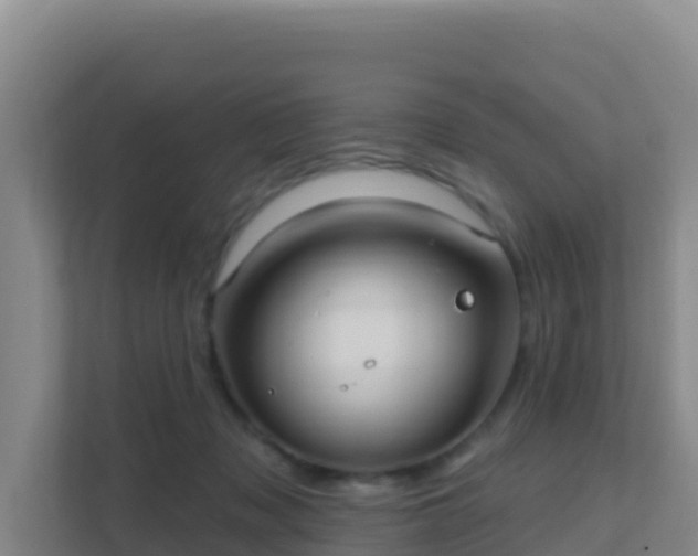 X0000111670317200907241217