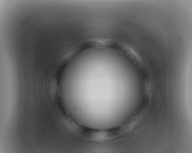 X0000111670318200907241217