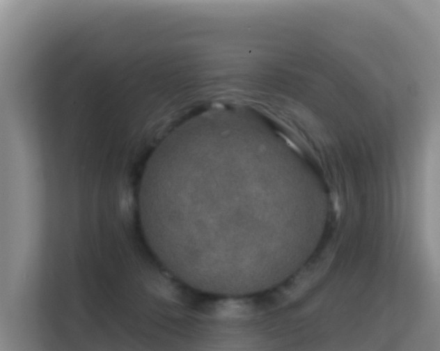 X0000111670320200907241217