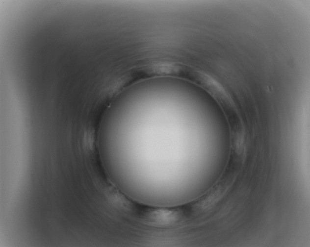 X0000111670326200907241217