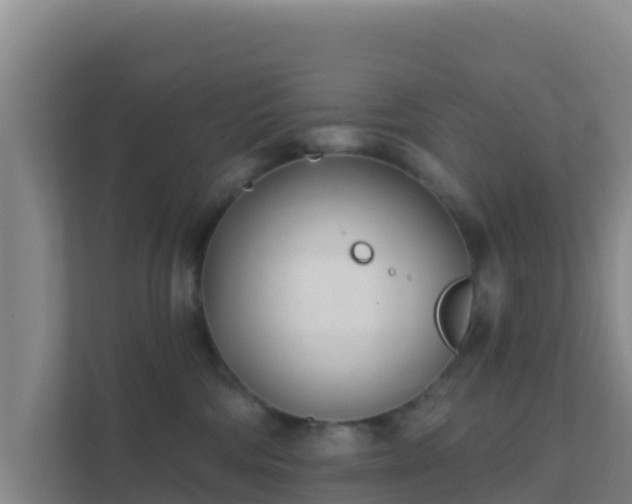 X0000111670330200907241217