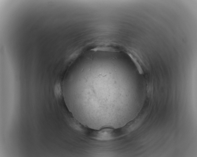 X0000111670335200907241217