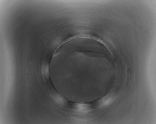 X0000111670336200907241217