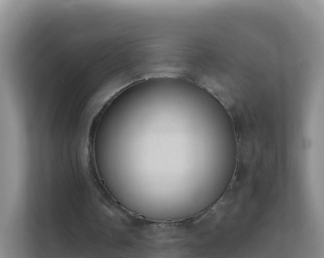 X0000111670338200907241216