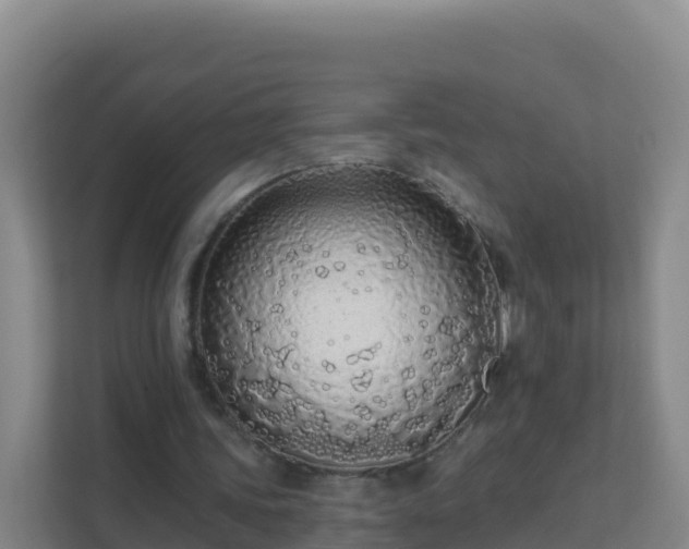 X0000111670339200907241216