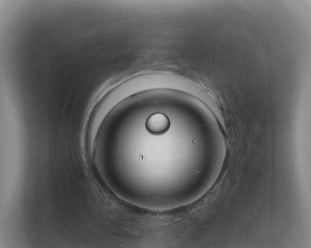 X0000111670340200907241216