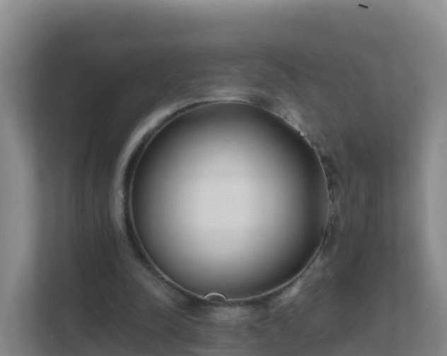 X0000111670342200907241216