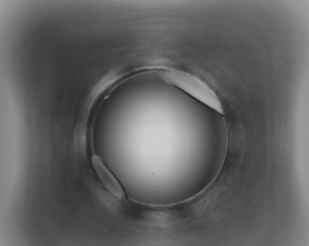 X0000111670344200907241216