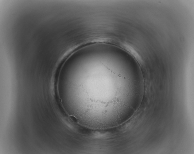 X0000111670346200907241217