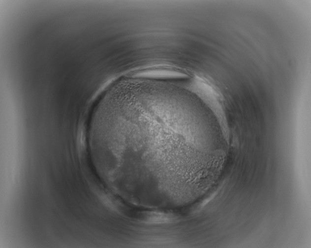 X0000111670347200907241217