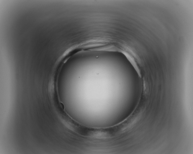 X0000111670348200907241217