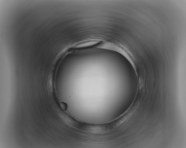 X0000111670349200907241217