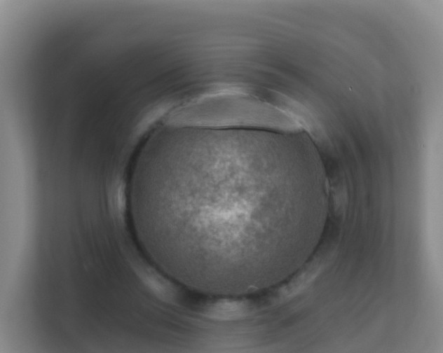 X0000111670350200907241217